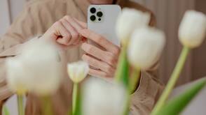 Mann fotografiert Tulpen mit dem iPhone