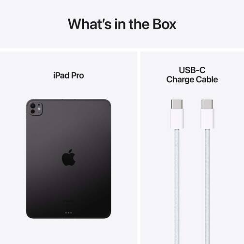 DEMO-Apple-11-iPad-Pro-WiFi-Cellular-256-GB-Standardglas-Space-Schwarz-2024-10.jpg